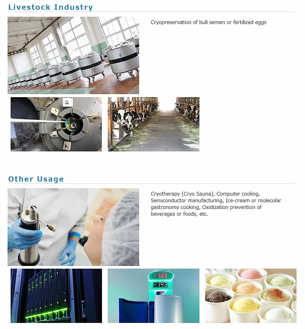 Ldh Manufacturer 20L Liquefier Industrial Liquid Nitrogen Generator
