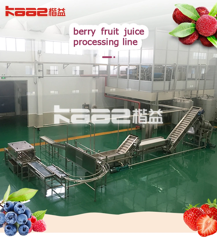 Turnkey Project Berryfruits/Apple/Blueberry/Strawberry/Peach/Pear Clear/NFC/Concentrated Washing/Sorting/Juicing/Pulping/Destoning Productiton/Processing Line