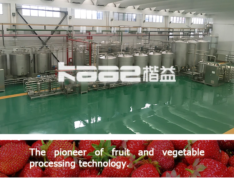 Turnkey Project Berryfruits/Apple/Blueberry/Strawberry/Peach/Pear Clear/NFC/Concentrated Washing/Sorting/Juicing/Pulping/Destoning Productiton/Processing Line