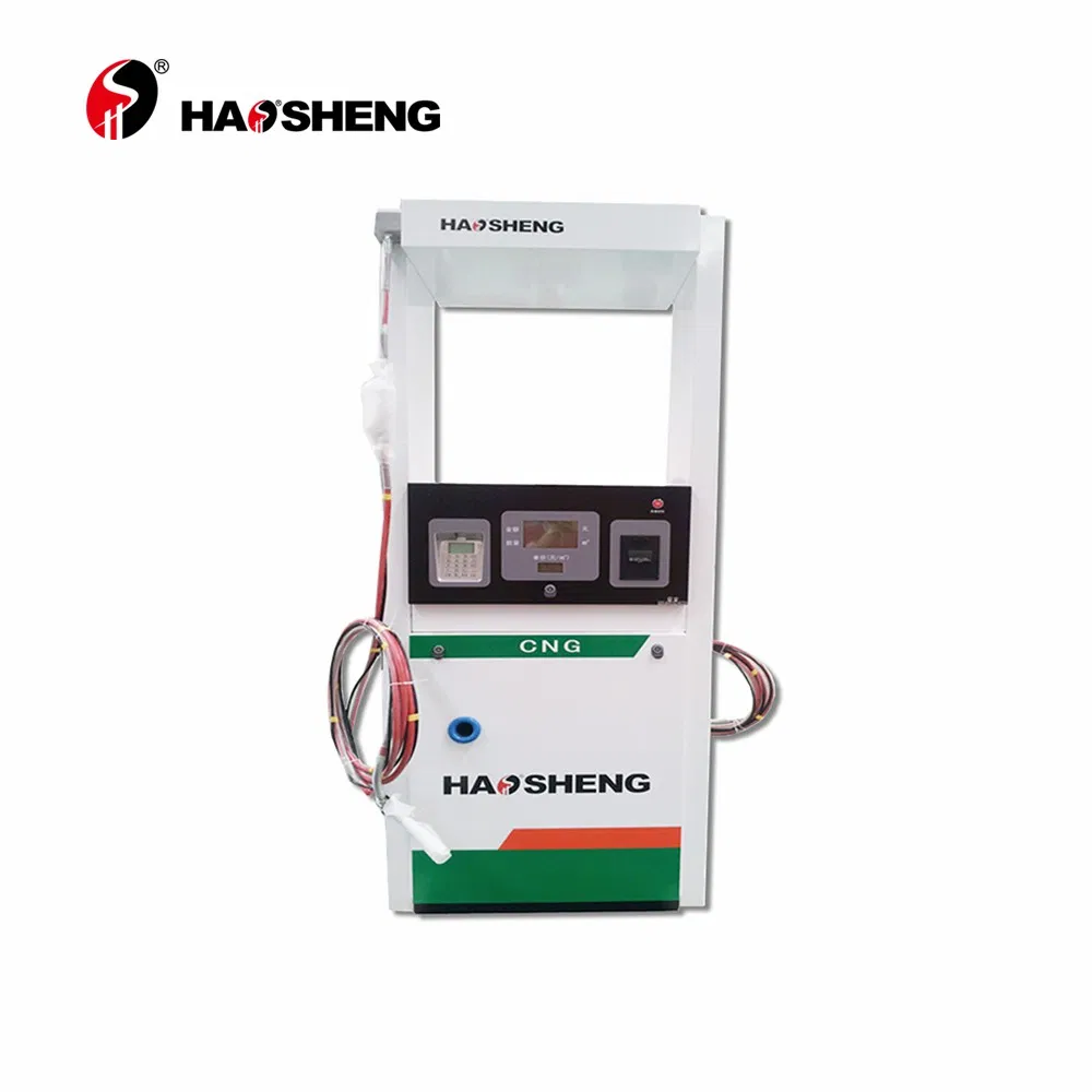 Normal Pei Approved Haosheng in Wooden Case LNG High Quality CNG Dispenser